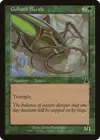 Product image for Goliath Beetle