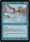 Product image for Kingfisher
