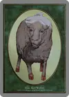 Product image for Sheep