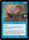 Product image for Image fugitive