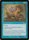 Product image for Fleeting Image
