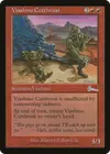 Product image for Viashino Cutthroat