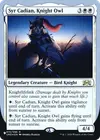 Product image for Syr Cadian, Knight Owl
