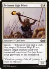 Product image for Grand prêtre de Tethmos