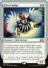 Product image for Flavor Judge