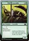 Product image for Wild Crocodile