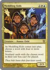 Product image for Meddling Kids