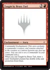 Product image for Taught by Bruce Tarl