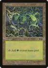 Product image for Forest