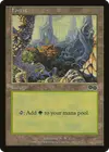 Product image for Forest