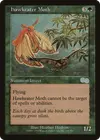 Product image for Hawkeater Moth