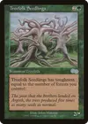 Product image for Treefolk Seedlings