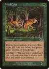 Product image for Wild Dogs