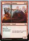 Product image for Common Iguana
