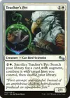 Product image for Teacher's Pet