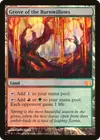 Product image for Grove of the Burnwillows