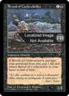 Product image for Couvain de cafards