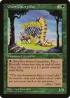 Product image for Giant Caterpillar