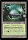 Product image for Jungle épaisse