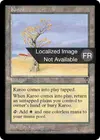 Product image for Karoo