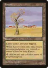 Product image for Karoo