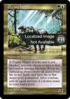 Product image for Hippopotame pygmée
