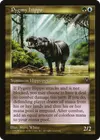 Product image for Pygmy Hippo