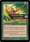 Product image for Orang-outang de l'Ouktabi