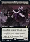 Product image for Fauteurs de troubles de la croisée