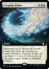 Product image for Tempête d'âmes