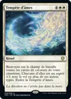 Product image for Tempête d'âmes