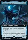 Product image for Timin, jeune geist