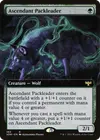 Product image for Ascendant Packleader