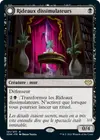 Product image for Rideaux dissimulateurs // Œil révélateur