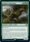 Product image for Colosse cultivateur