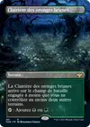 Product image for Clairière des oronges brunes