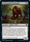 Product image for Charognard du diregraf