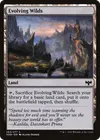 Product image for Evolving Wilds