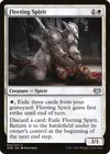 Product image for Fleeting Spirit