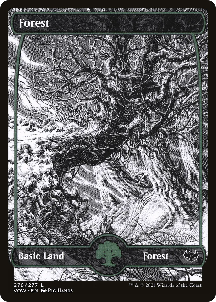 Forest — Innistrad: Crimson Vow — Magic: The Gathering