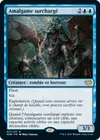 Product image for Amalgame surchargé