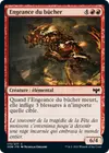 Product image for Engeance du bûcher