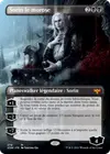 Product image for Sorin le morose