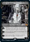 Product image for Sorin le morose