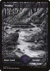 Product image for Swamp