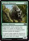 Product image for Ruée de rhinocéros