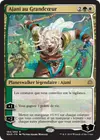 Product image for Ajani au Grandcœur