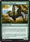Product image for Paisseur arboricole