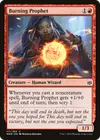 Product image for Burning Prophet