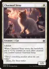 Product image for Charmed Stray